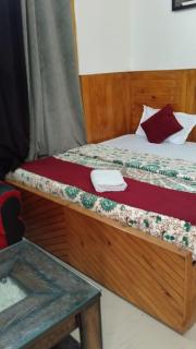 Kullu Manali Homestay - 0