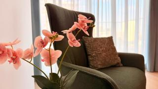 Exclusive 1BR Apartments with Balcony & Pool Access - UP-site - 5