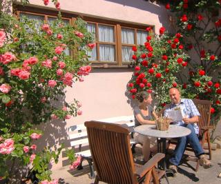 Kreuzerhof Hotel Garni - 8