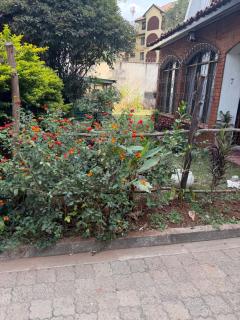 Tre Villa Cafe, Bansal court - 9