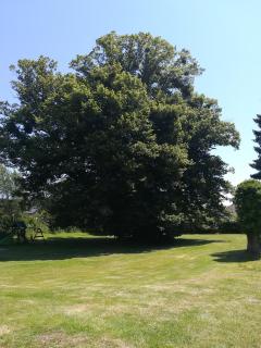 Manoir de Gruchet le Valasse - 7