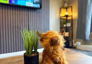 Extended Stay Welcome - Sleeps 5 - Free Parking - 9