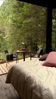 Scandinavian Luxury in the Wild - 1