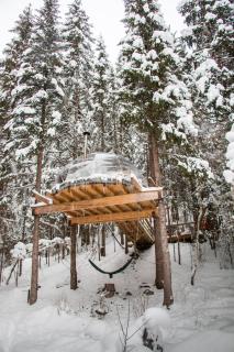 Treetop igloo by the river - 6