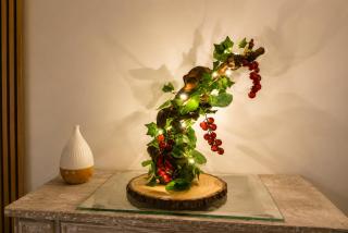 Le Donjon du Chateau - 8