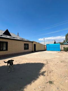 Zebra Home - 4