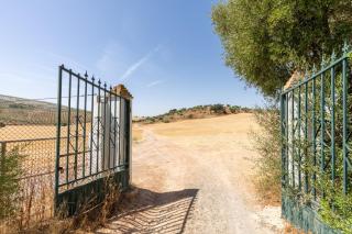 Casa Rural en Montellano (53km de Sevilla) - 7