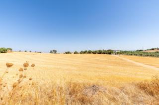 Casa Rural en Montellano (53km de Sevilla) - 6
