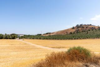 Casa Rural en Montellano (53km de Sevilla) - 5