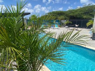 Beautiful luxury villa with private pool - Eagle Beach - 4