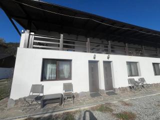 Casa Firuta Borsa - 6