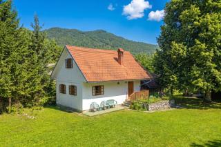 Parish House Mežnarija Near Dolenjske Toplice - Happy Rentals - 0