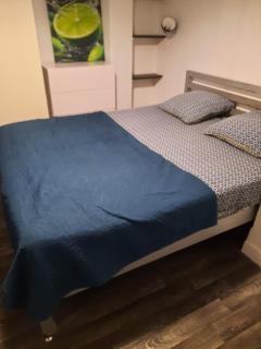 Vincennes superbe appartement en rdc - 2