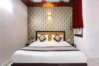 Oly Hotel Delhi Darbar at Karol Bagh - 7