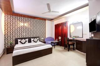 Oly Hotel Delhi Darbar at Karol Bagh - 8
