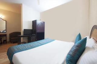 Oly Hotel Delhi Darbar at Karol Bagh - 4