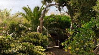 Beachfront Dream - 6