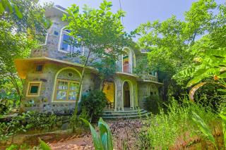 Sariska Forest Trail - 9