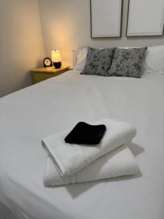 207 2BR Apt Near Downtown Stadiums Conv Center - 2