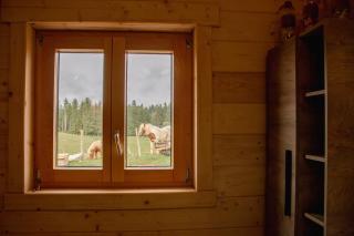 Gîte pleine nature - 9