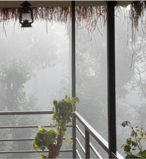 Coorg Silver Mountain Estate Stay - 1