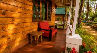Pine Wood Cottage Jungle Resort - 2
