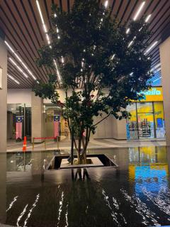 Axon Grand Residence by Elite - 4