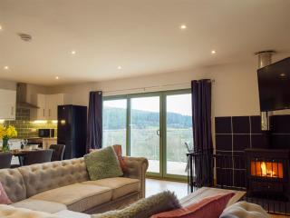 Red Kite Lodge - Uk32610 - 9