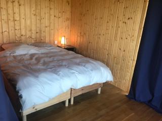 Maison en bois dans un pré - 1