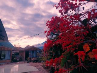 Falls Junction Homestay - 3