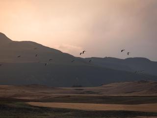 Bergview Farm - 5