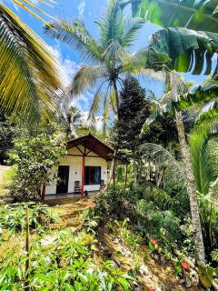 Rainforest Soul Villa - 8