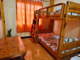 Cozy & Ruztik 2 Bedroom Apartment with Parking OnSite within Town Proper! - 0