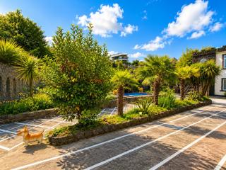 Green Garden - 3