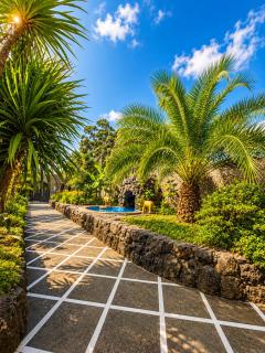 Green Garden - 4