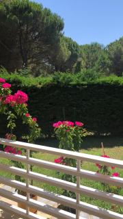 Pines House - 7