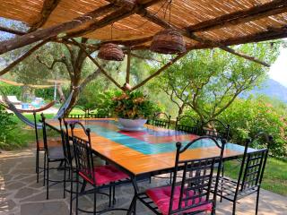 Amalfi Coast, Positano, Sorrento, Capri, Garden, Villa Carcara - 4