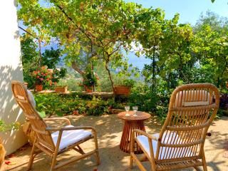 Amalfi Coast, Positano, Sorrento, Capri, Garden, Villa Carcara - 5