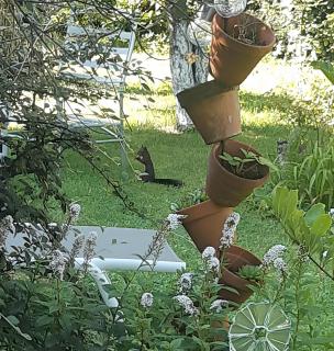 Chez Flo Givry - 6
