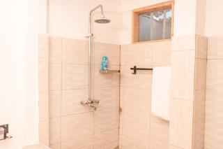 Tanaka One Bedroom Apartment in Mikocheni - 1