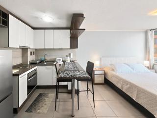 Oceana Suites Santiago Barrio Italia - 9