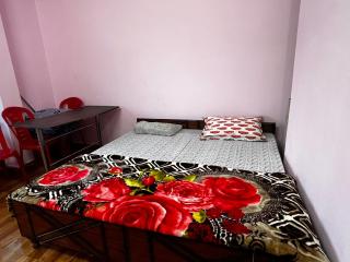 Thakur Fast Food and Home Stay - 9