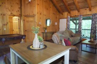 Moonshine Holler Pool Table Hottub Gburg Pigeon Forge 8 miles - 2