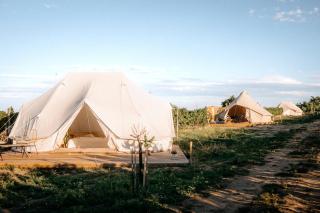 Mezi Vinicemi Glamp - 2