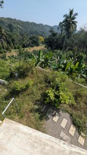 Pappaya Grove Villa - 1
