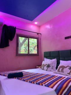Riad Atlas Garden - 5