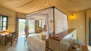 Ndhovu Safari Lodge - 2