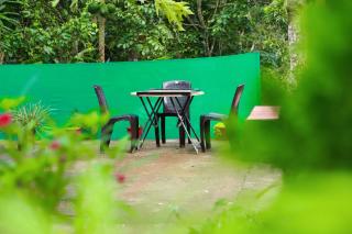 Misty Moon Home stay - 9
