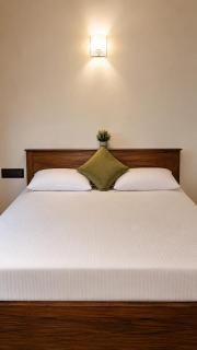 villa in Galle with peaceful garden - 1