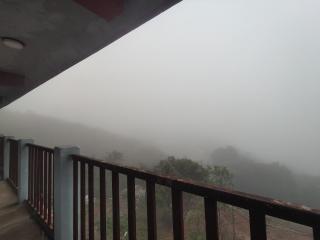 Arwah Scenic View - 3